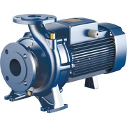 Консольный центробежный насос Pedrollo F 50/160A